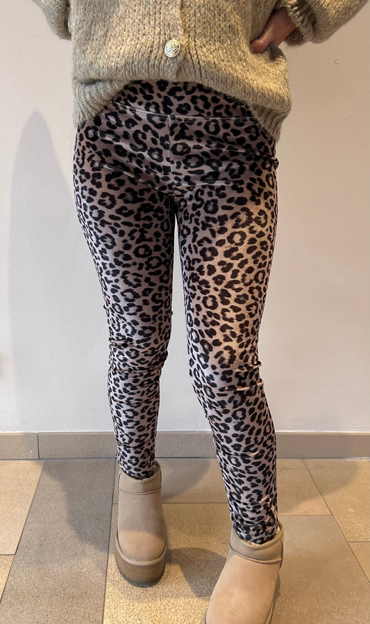 Leo Leggins Samt
